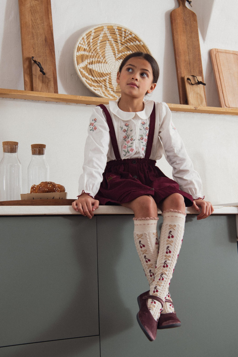 Roma embroidered skirt in velvet