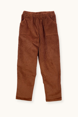 Lulu retro pants in velvet