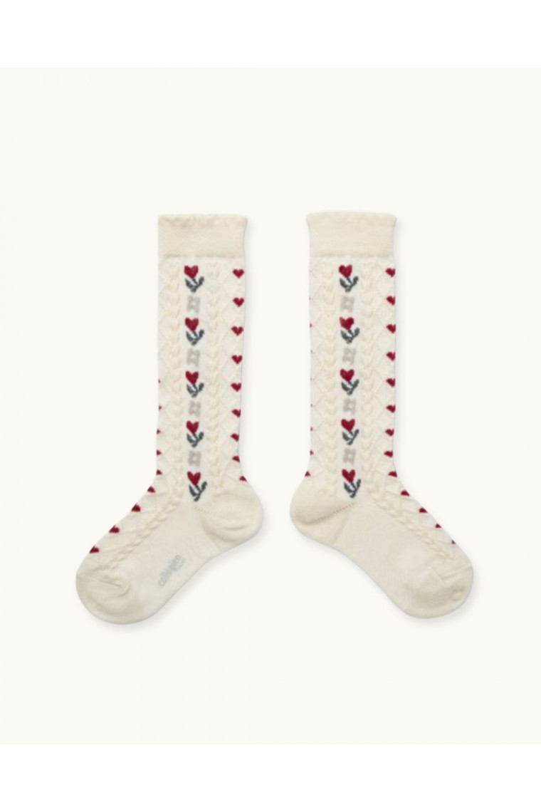 Socks Desire with hearts and flowers