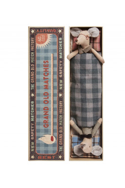Mice, Grandpa & Grandma in matchbox