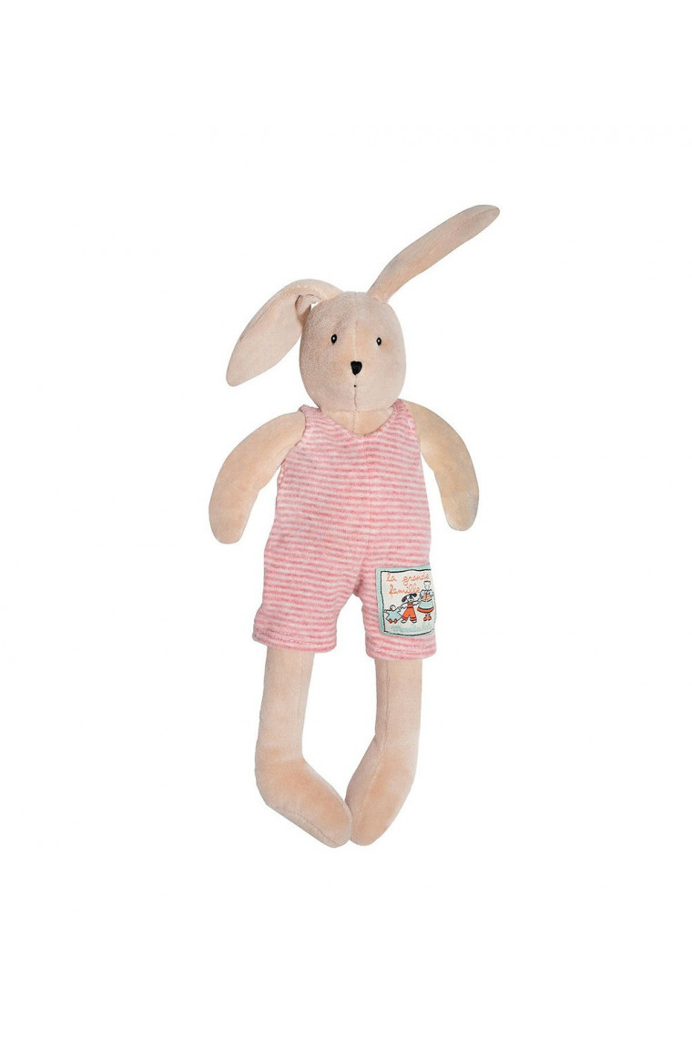 Sylvain le lapin des Tous petits
