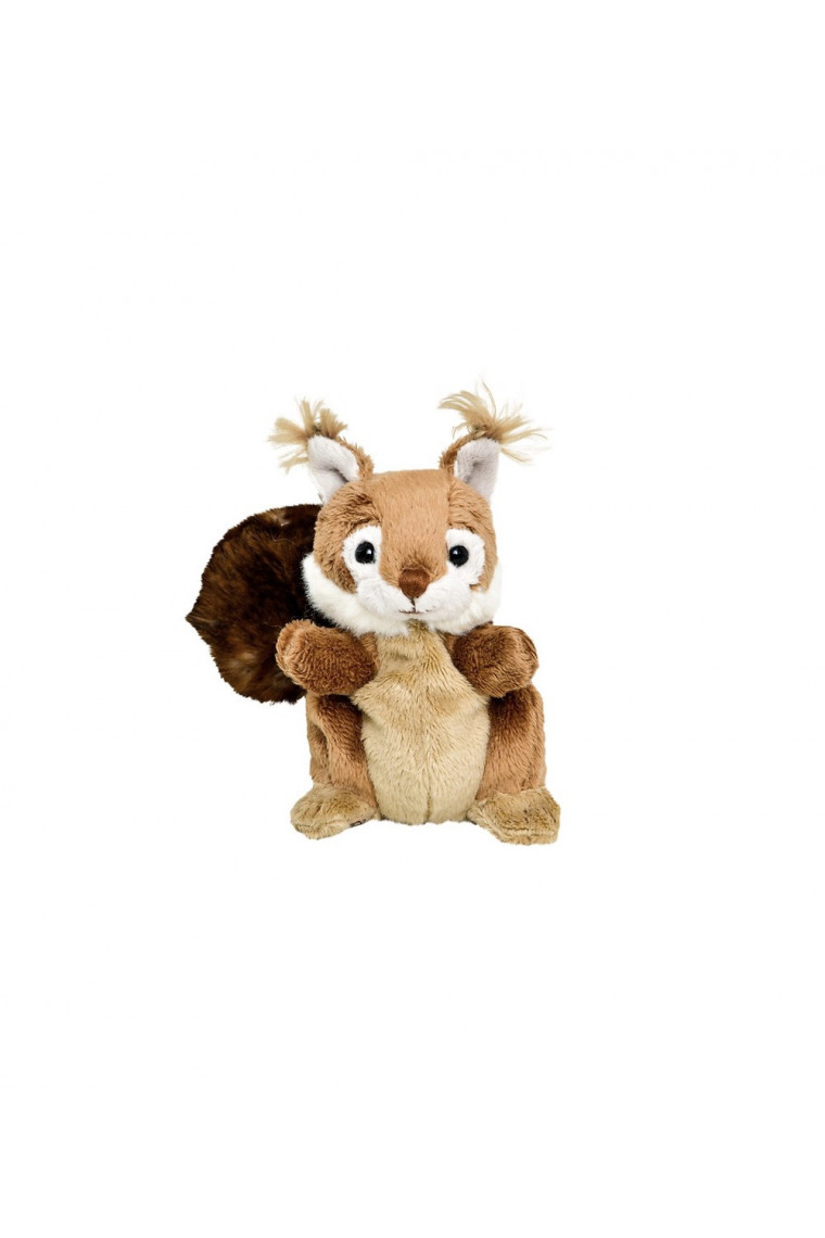 Bukowski Squirrel