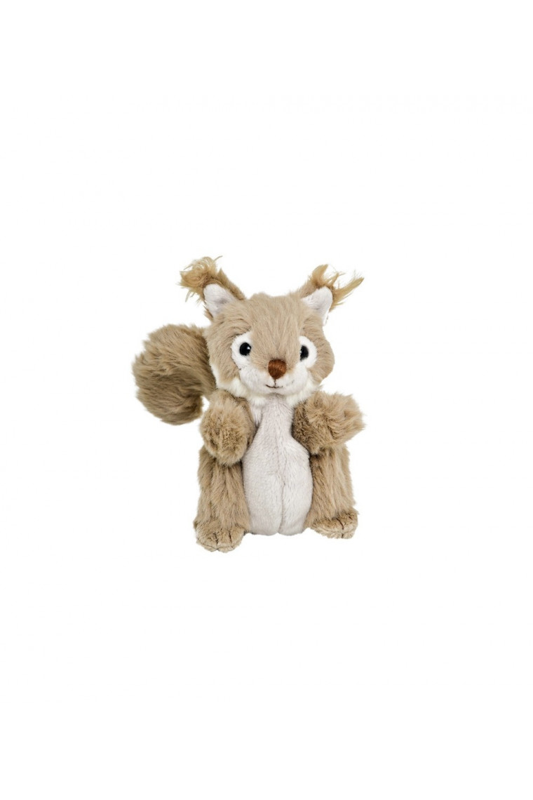 Bukowski Squirrel