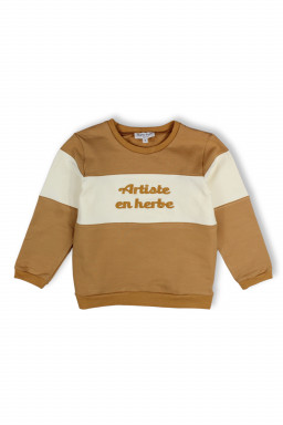 Sweater Artiste en herbe