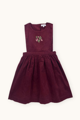 Liz embroidered velvet dress