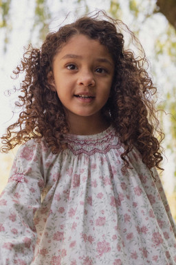 Alexia smocked dress in velvet