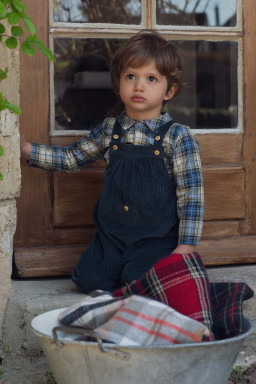 Chemise bébé Tommy