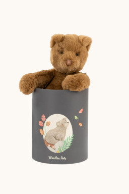 Peluche ours Arthur et sa boite cadeau Peluche ours Arthur et sa boite cadeau