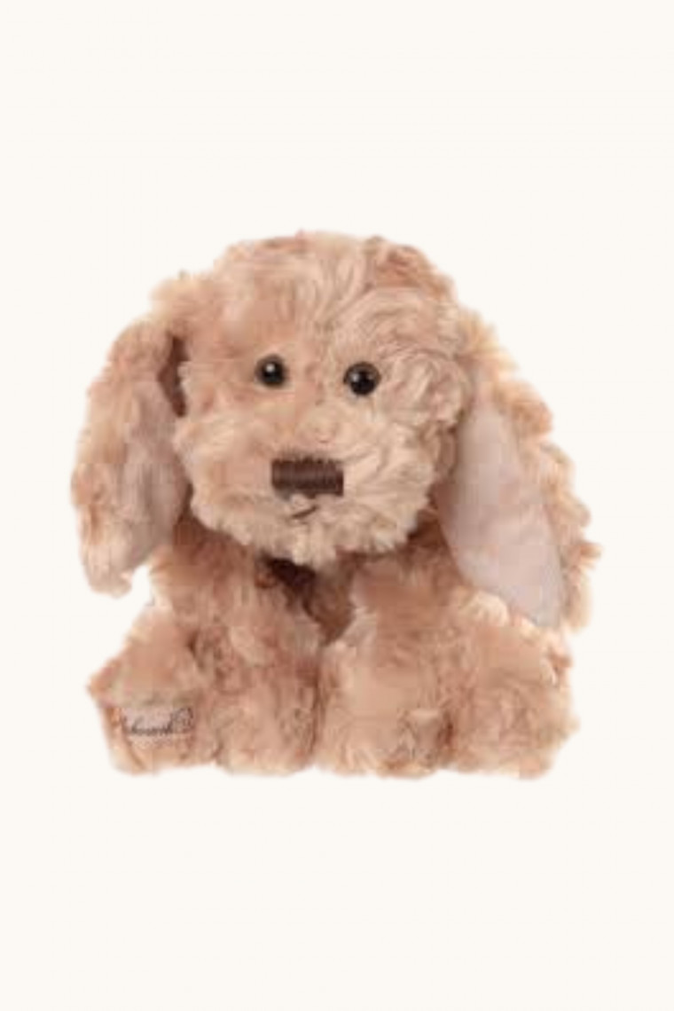 Peluche chien BUDDY beige de Bukowski