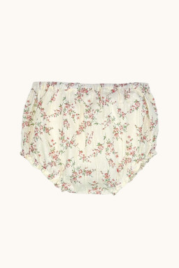 Bloomer in plumetis roses bouquet