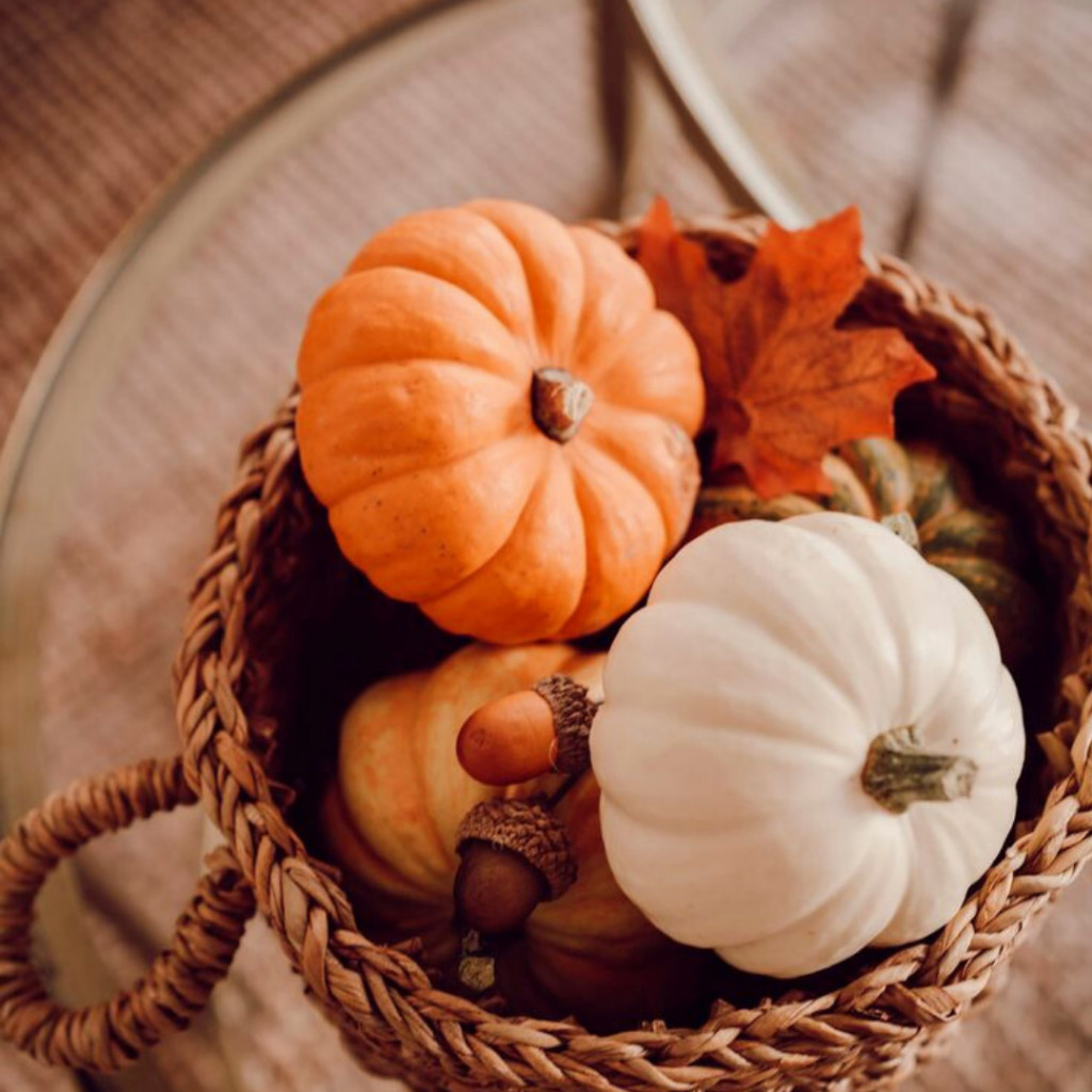 fall-activities-for-children