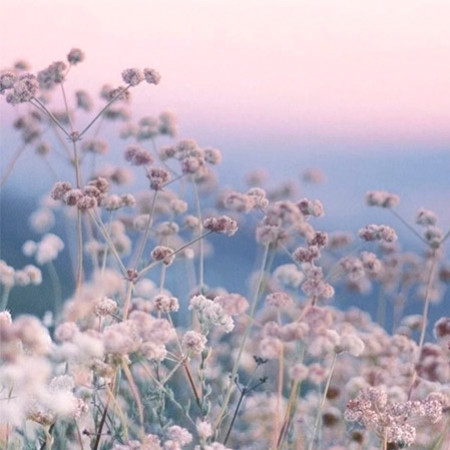 Nos inspirations de la collection Automne-Hiver 2021